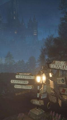 an image of a street sign in front of a castle with lots of signs on it