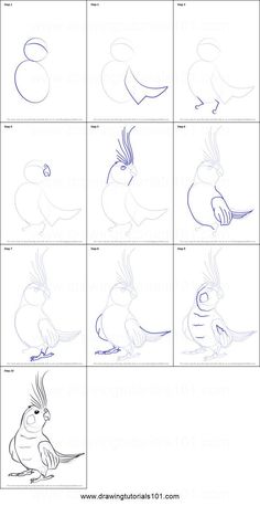 how to draw cartoon birds step by step instructions for children and adults, with pictures on the