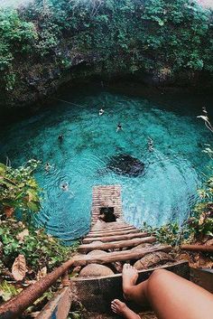 a person sitting on steps leading to a pool in the middle of some trees and water