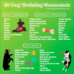 the dog training commands for dogs are shown in this poster, which includes instructions on how to