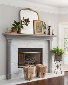 a living room with a fire place and potted plants on top of the fireplace