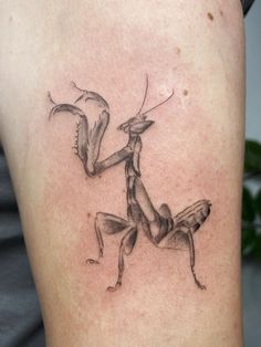 a black and white photo of a praying mantissa on the back of a woman's thigh