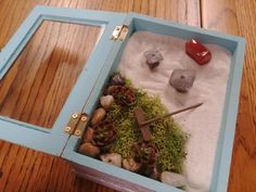 a box filled with rocks and plants on top of a wooden table