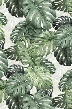 a watercolor painting of green leaves on a white background with black and grey accents