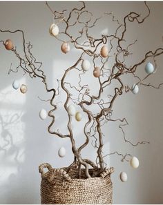 a vase with some branches and eggs in it