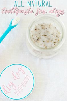 a toothbrush and bowl of yogurt sitting on a table with the words all natural toothpaste for dogs