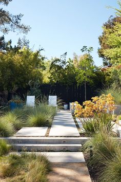 an outdoor garden with concrete steps and plants