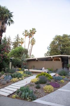 a person sitting on a bench in the middle of a garden with trees and plants