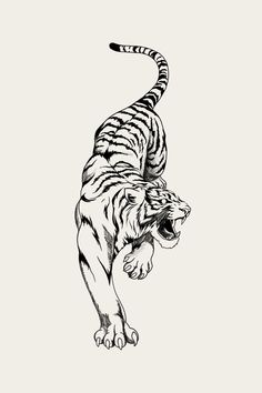 a black and white drawing of a tiger running with its mouth open in the air