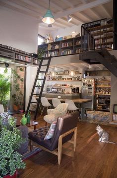 a living room filled with furniture and bookshelves next to a staircase leading up to a loft