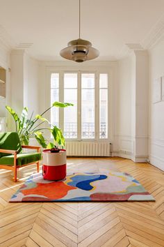 a living room filled with furniture and a potted plant on top of a rug