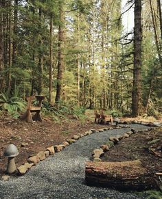 there is a bench in the middle of this forest with rocks and trees around it