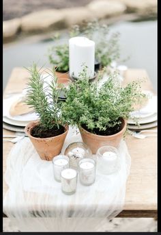 the table is set with candles and potted plants