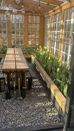 a wooden table sitting in the middle of a room filled with plants and flowers next to windows