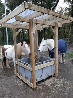 two horses are eating hay from a trough