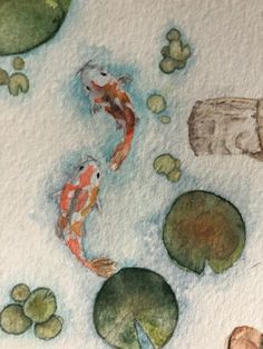 two koi fish are swimming in the water