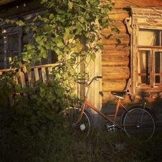 an old bicycle is parked in front of a log cabin with ivy growing on it