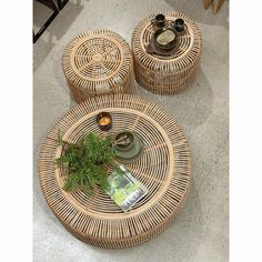 three wicker coffee tables with plants on each one and magazines in the middle, sitting on concrete flooring