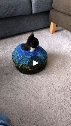 a black and white cat laying on top of a blue pillow in a living room