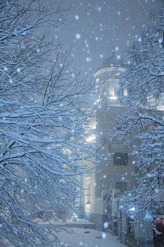 snow falling on trees in front of a building