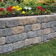 a stone wall with flowers growing out of it