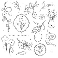 a bunch of flowers and plants that are drawn in black ink on white paper with the words