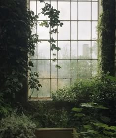 an open window in the middle of a room filled with green plants and ivys