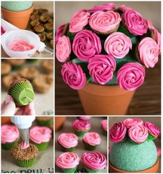 there are many pictures of cupcakes with pink frosting on them and flowers in the middle