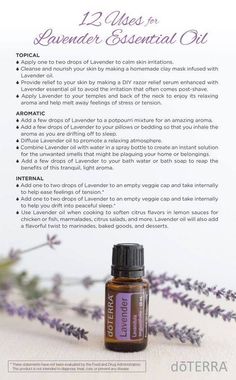 Uses For Lavender, Lavender Essential Oil Uses, Doterra Lavender, Essential Oils 101, Endocannabinoid System, Oil Remedies, Essential Oil Benefits