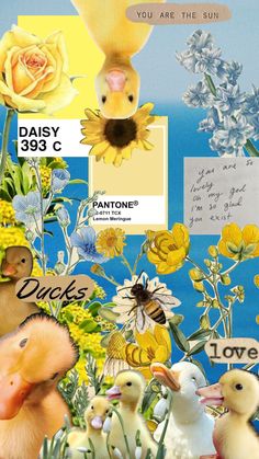 a collage with ducks, flowers and bees