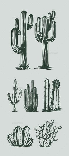 cactuses and cacti are drawn in black ink on a gray background