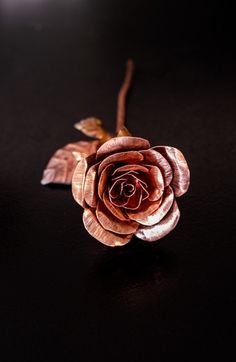 a close up of a rose on a black surface with some brown leaves around it