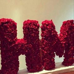 red flowers are arranged in the shape of letters