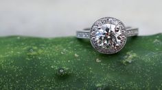 a diamond ring sitting on top of a green leaf