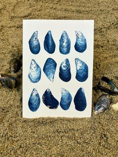 blue seashells are arranged on a white card with shells in the sand next to it