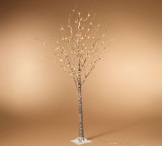 a small tree with lights on it in front of a brown wall and white floor