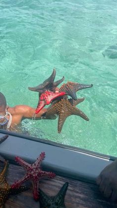 a man swimming in the ocean with starfishs on his chest and snorkels around him