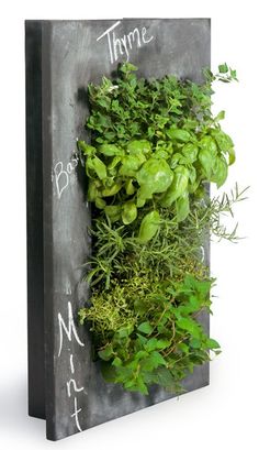 a wall mounted planter with herbs and greenery on it's sides that says thyme