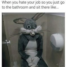 a rabbit sitting on top of a toilet in a bathroom next to a urinal