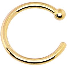 14kt Gold and Platinum Nose Rings – BodyCandy Gold Nise Ring, Body Candy Jewelry, Rose Gold Nose Ring, Gold Body Jewelry, Tapers And Plugs, Gold Nose Hoop, Nose Piercing Hoop, Gold Body Jewellery, Gold Nose Rings