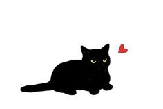 a black cat laying down with a red heart in the background