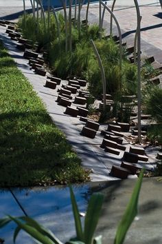 there are many plants growing on the side of the road in front of some water