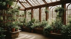 a room filled with lots of potted plants