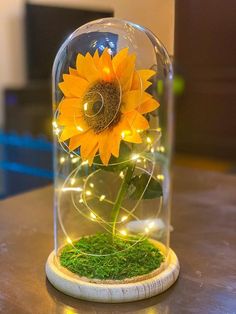 a sunflower in a glass dome with fairy lights on the bottom and grass underneath