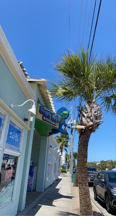 a palm tree on the side of a street