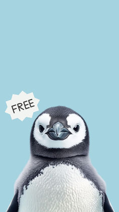 a penguin with a free speech bubble above it's head