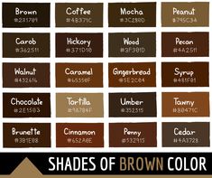 the different shades of chocolate paint