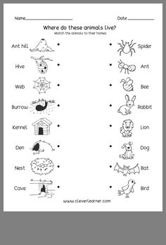 an animal's life worksheet for kids to learn how to write and draw