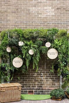 a brick wall with plants growing on it and hanging from the ceiling, in front of two wicker baskets