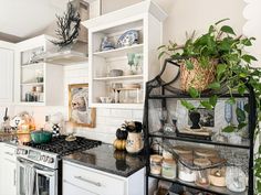 a kitchen filled with lots of white cabinets and counter top space next to a potted plant